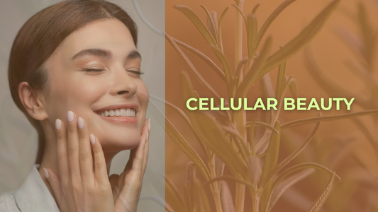 Cellular Beauty: The Power of Botanical Synergy for Your Skin 🌿